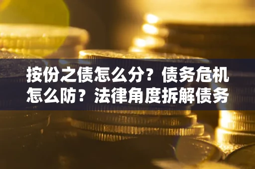 武汉按份之债怎么分？债务危机怎么防？法律角度拆解债务分配与风险自保指南