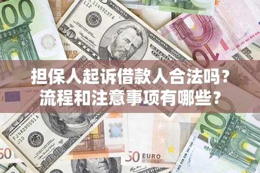 武汉担保人起诉借款人合法吗？流程和注意事项有哪些？