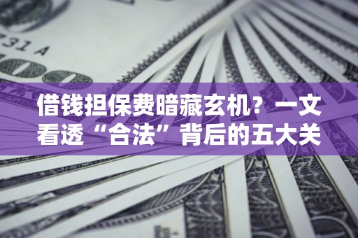 武汉借钱担保费暗藏玄机？一文看透“合法”背后的五大关键陷阱