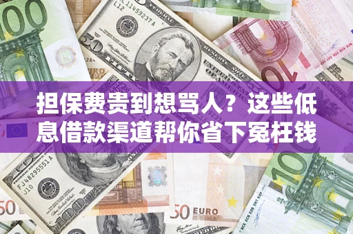 武汉担保费贵到想骂人？这些低息借款渠道帮你省下冤枉钱