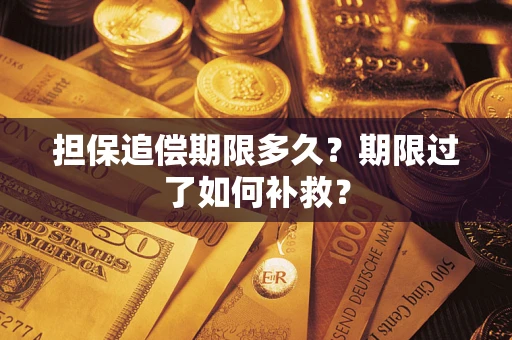 武汉担保追偿期限多久？期限过了如何补救？