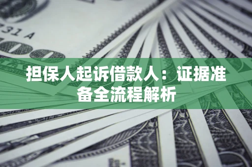 武汉担保人起诉借款人：证据准备全流程解析