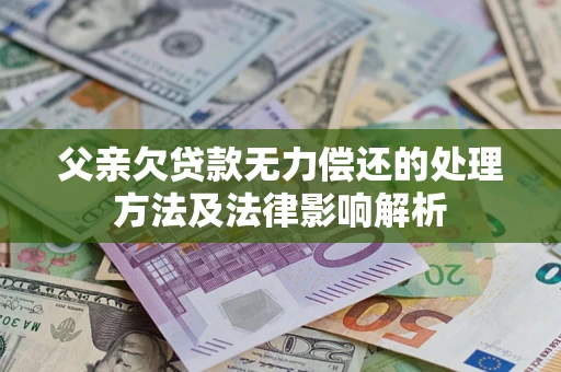 武汉父亲欠贷款无力偿还的处理方法及法律影响解析
