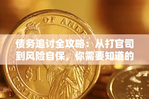 武汉债务追讨全攻略：从打官司到风险自保，你需要知道的法律智慧