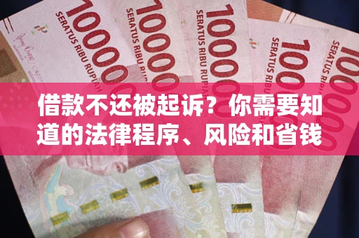 武汉借款不还被起诉？你需要知道的法律程序、风险和省钱技巧