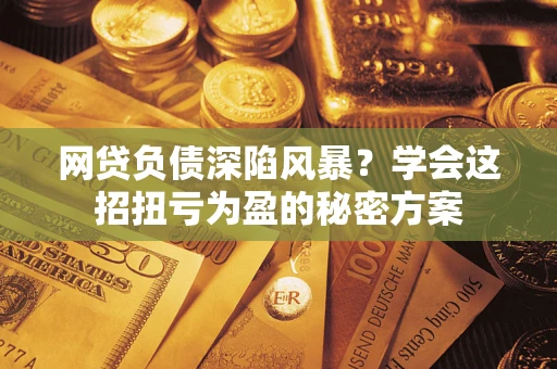 武汉网贷负债深陷风暴？学会这招扭亏为盈的秘密方案