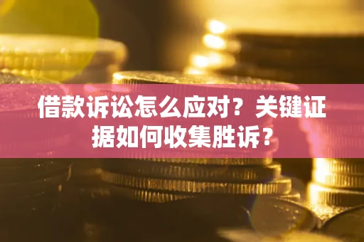 武汉借款诉讼怎么应对？关键证据如何收集胜诉？